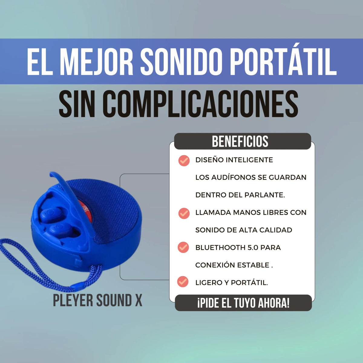 Pleyer Sound X - Pleyer