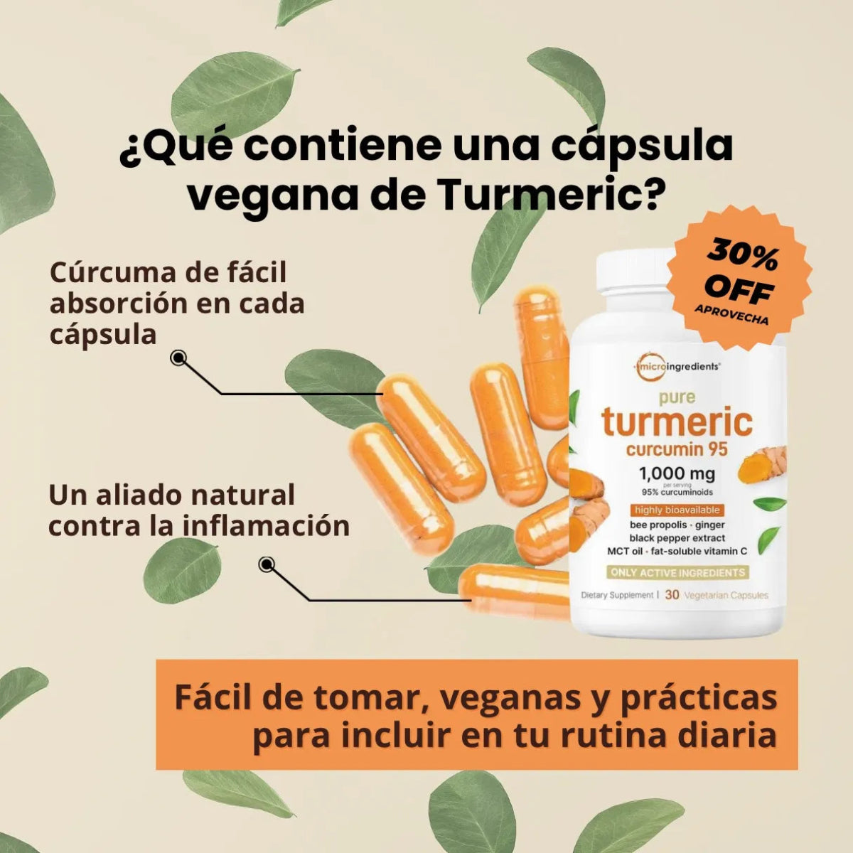 Turmeric Curcumín - Pleyer