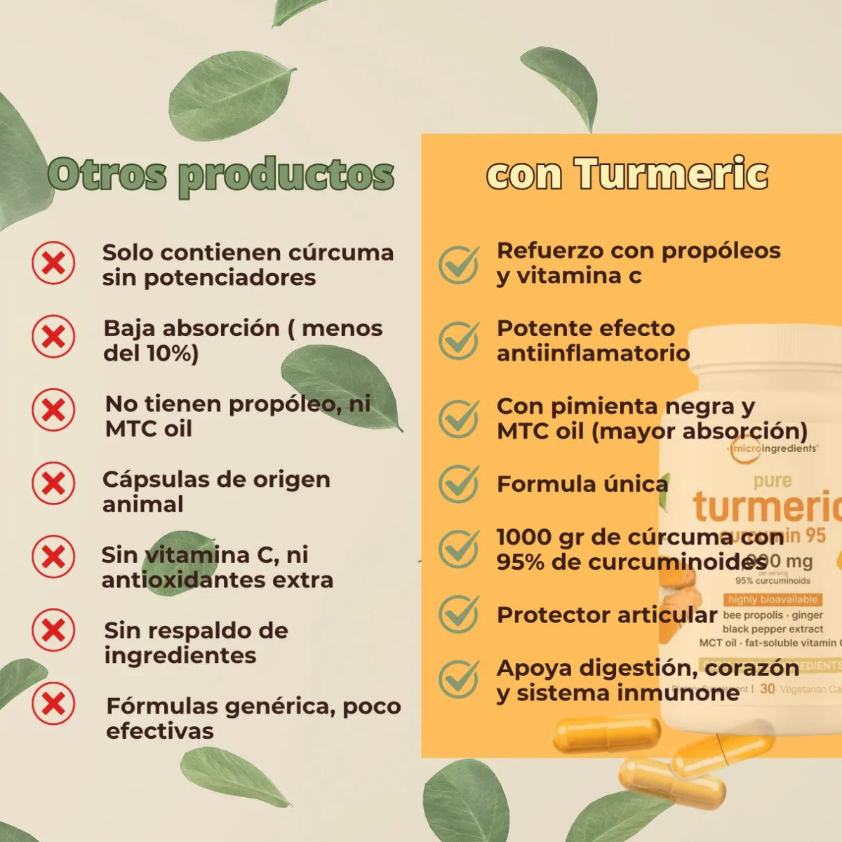 Turmeric Curcumín - Pleyer