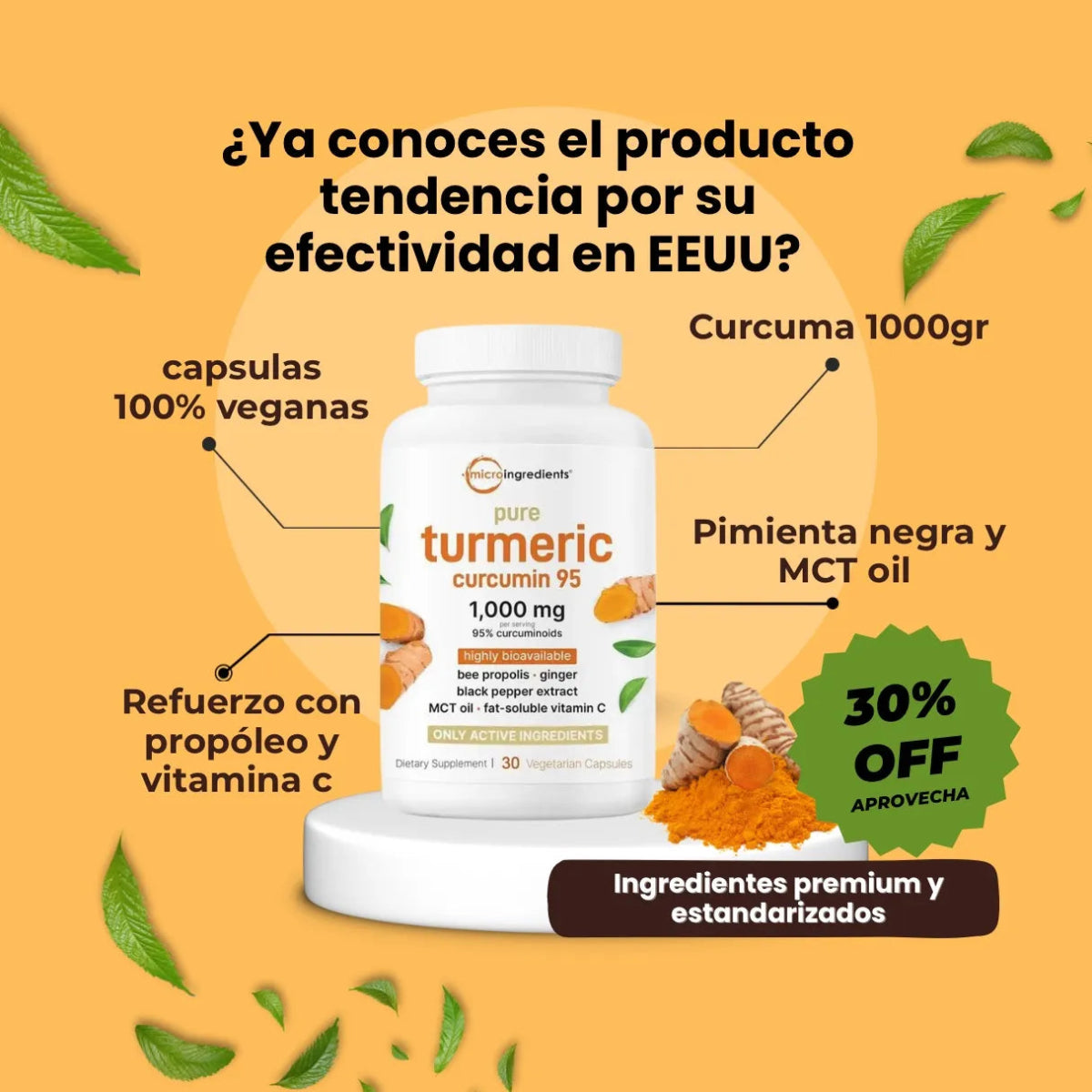 Turmeric Curcumín - Pleyer